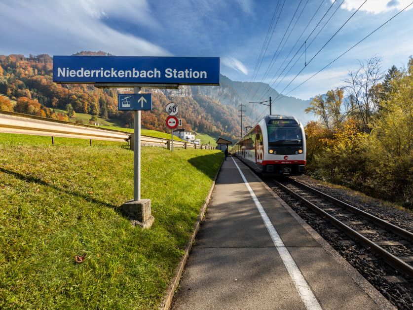 Heckenschneiden | Die Zentralbahn.